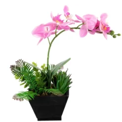 Northlight 13" Orchid With Succulent Artificial Potted Plant - Pink 11 Northlight 13" Orchid With Succulent Artificial Potted Plant - Pink -Home Decor GUEST 00aafc68 f1f2 438f 9216 43c7fee808ad