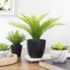 Northlight 12" Potted Green Artificial Pinus Plant