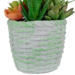 Northlight 8.5" Mixed Succulent Artificial Potted Arrangement - Green/Brown -Home Decor GUEST 0549cfef 604f 4126 87e6 c67712a39668