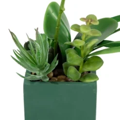 Northlight 12" Orchid And Succulents Artificial Potted Flower Arrangement - Green/White -Home Decor GUEST 07d0d2e7 4301 44a2 a5b8 c284235992ba