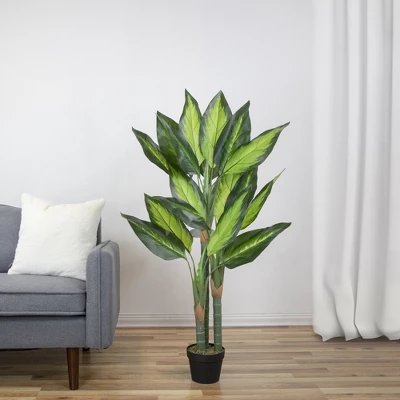 Northlight 51" Artificial Wide Leaf Green Dieffenbachia Potted Plant 1 Northlight 51" Artificial Wide Leaf Green Dieffenbachia Potted Plant