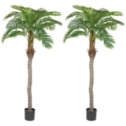 Northlight Artificial Potted Palm Trees - 6' - Set Of 2 11 Northlight Artificial Potted Palm Trees - 6' - Set Of 2 -Home Decor GUEST 0b508282 83cf 4c22 bf38 ee04fa0411c5