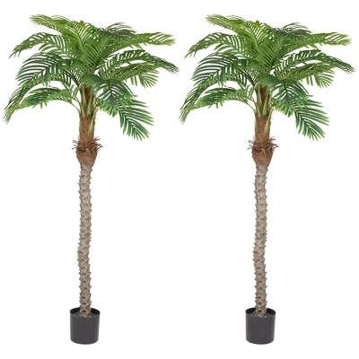 Northlight Artificial Potted Palm Trees - 6' - Set Of 2 6 Northlight Artificial Potted Palm Trees - 6' - Set Of 2 - Image 6