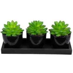 Northlight Mini Artificial Potted Succulents With Wood Planter - 5" - Set Of 3 -Home Decor GUEST 0b740f21 e321 428b 8c81 71ecef4764f8