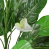 Northlight 47.5" Tropical Peace Lily Spathe Artificial Potted Plant - Green/White