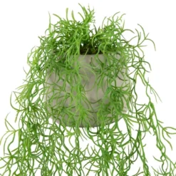 Northlight 22" Artificial Cascading Succulent Plant In Gray Stone Pot 6 Northlight 22" Artificial Cascading Succulent Plant In Gray Stone Pot -Home Decor GUEST 0e384a44 8b41 43a7 bc09 fcb495613ade