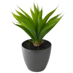 Northlight 22" Potted Green Artificial Agave Plant -Home Decor GUEST 0e5bb128 6f1c 47d6 a2c7 a0229410da89