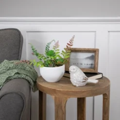 Northlight 11.5" Mixed Succulent And Fern Artificial Potted Plant - Green/White