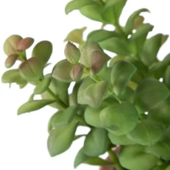 Northlight Real Touch™ Artificial Privet Plant In Vintage Milk Can Style Earthenware Pot - 14" -Home Decor GUEST 0f8dac75 a606 4758 a838 f7f24347641b