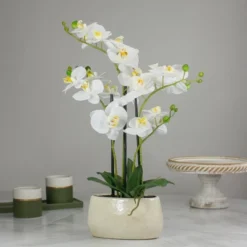 Northlight 22" Artificial White And Yellow Orchid Plant With A White Oval Pot Tabletop Decor
