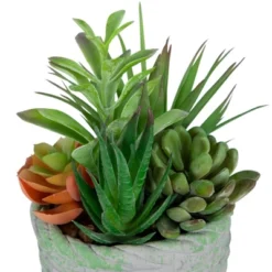 Northlight 8.5" Mixed Succulent Artificial Potted Arrangement - Green/Brown -Home Decor GUEST 1a74d199 2d27 4be2 812c a2de965e1bc6