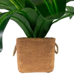 Northlight 27" Artificial Dracaena Plant In Square Rattan Pattern Ceramic Pot 6 Northlight 27" Artificial Dracaena Plant In Square Rattan Pattern Ceramic Pot -Home Decor GUEST 1c7e1b17 a527 43c8 8e69 a69711bc1c02