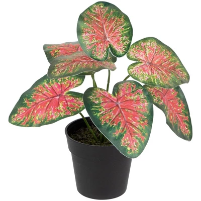 Northlight 8" Rohdea Spring Floral Artificial Potted Plant 2 Northlight 8" Rohdea Spring Floral Artificial Potted Plant - Image 2