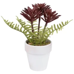 Northlight Succulent Fern In Ceramic Pot - 8" -Home Decor GUEST 1f698f92 2044 409b 8638 93b3f1987c40
