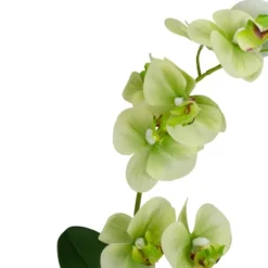Northlight 14" Ivory, Green, And White Artificial Orchid Potted Plant Tabletop Decor -Home Decor GUEST 205123bd 5059 4a03 beaa eb6f8a67b558