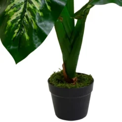 Northlight 36" Artificial Green And Ivory Variegated Leaf Dieffenbachia Potted Plant -Home Decor GUEST 2327baf3 2447 40de 8905 1a0dd84b403b