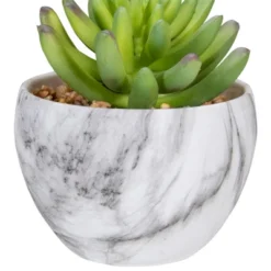 Northlight 4.25" Green Artificial Succulent In Faux Marble Pot -Home Decor GUEST 23dfdc42 f1ba 4bc9 a101 d8838a270288