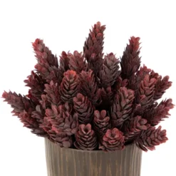 Northlight 8" Burgundy Red Wild Flower Artificial Plant In A Textured Lined Pot 7 Northlight 8" Burgundy Red Wild Flower Artificial Plant In A Textured Lined Pot -Home Decor GUEST 28bbe575 6a79 4937 9099 c00be6ea4d79