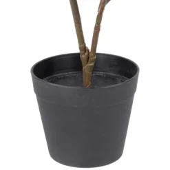 Northlight 26" Dark Green Artificial Potted Fiddle-Leaf Fig Plant 9 Northlight 26" Dark Green Artificial Potted Fiddle-Leaf Fig Plant -Home Decor GUEST 29d5a747 a031 4651 8e67 5ce3cad6096b