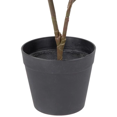 Northlight 26" Dark Green Artificial Potted Fiddle-Leaf Fig Plant 5 Northlight 26" Dark Green Artificial Potted Fiddle-Leaf Fig Plant - Image 5