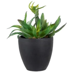 Northlight 11" Mixed Succulent Plant Artificial Potted Arrangement - Green/Black -Home Decor GUEST 2a98ab78 dcab 4a7c abbc 697cef0be77e