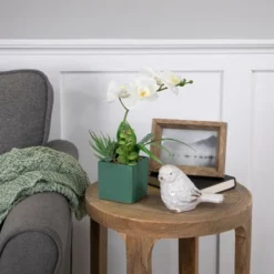 Northlight 12" Orchid And Succulents Artificial Potted Flower Arrangement - Green/White