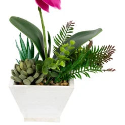 Northlight 12" Orchid With Succulent Artificial Potted Plant - Pink -Home Decor GUEST 310183bb 24dd 4a65 b949 a1b1420139ce