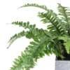 Northlight 13" Boston Fern Artificial Plant In Square Pot - Green/Gray