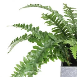 Northlight 13" Boston Fern Artificial Plant In Square Pot - Green/Gray
