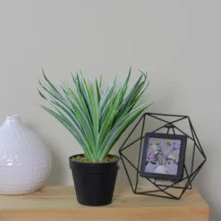 Northlight 13" Two-Tone Grass Artificial Potted Plant - Green/White -Home Decor GUEST 3659edfc b086 42c0 b6fb 68061a1c4c02