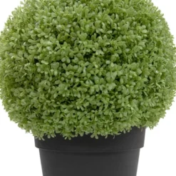 Northlight 22" Artificial Boxwood Ball Topiary In Round Pot, Unlit -Home Decor GUEST 367a9006 0a07 4ebd a2fe 3e22c2f8f783
