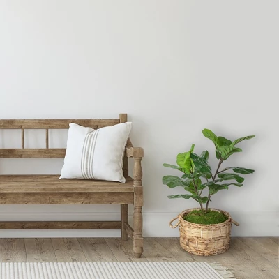 Northlight 26" Dark Green Artificial Potted Fiddle-Leaf Fig Plant 1 Northlight 26" Dark Green Artificial Potted Fiddle-Leaf Fig Plant