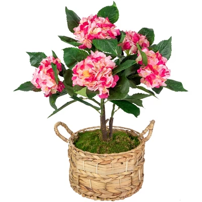 Northlight 25.75" Hydrangea Flower Artificial Potted Plant - Pink/Green 2 Northlight 25.75" Hydrangea Flower Artificial Potted Plant - Pink/Green - Image 2
