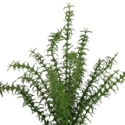 Northlight Real Touch™ Artificial Thyme Plant In Gray Ceramic Pot - 15" -Home Decor GUEST 3b1307e9 2ae1 4185 8a5f 9ccf8b567c12