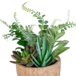 Northlight 12" Mixed Succulents And Fern Artificial Potted Arrangement - Green/Brown -Home Decor GUEST 3de210be 1597 43e6 b79a c58c20be14fc