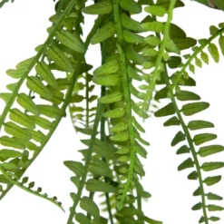 Northlight 18" Artificial Fern Plant With Moss Ball And Hanging Jute Cord -Home Decor GUEST 468a4889 20f3 4f51 87de a36c52f71fe3