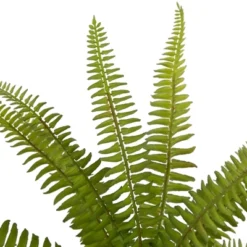 Northlight 12" Artificial Boston Fern Plant In Aztec Pattern Ceramic Pot -Home Decor GUEST 482b4373 8da2 4742 925a ad6bb6c72c1d