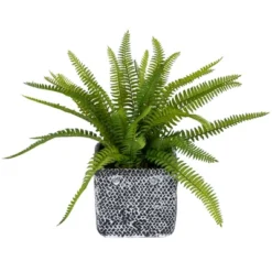Northlight 20" Boston Fern Artificial Plant In Weathered Square Planter - Green/Gray -Home Decor GUEST 4a9220da 12b2 4d6c bf7c 45e0142df62a