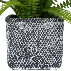 Northlight 20" Boston Fern Artificial Plant In Weathered Square Planter - Green/Gray -Home Decor GUEST 4d5cbaad 8202 48ec 8fa6 3c6a923d9aab
