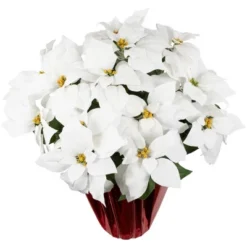 Northlight 26" White Artificial Christmas Poinsettia In Red Wrapped Base 7 Northlight 26" White Artificial Christmas Poinsettia In Red Wrapped Base -Home Decor GUEST 4e9b6292 e847 469a b800 e0c59e7063d2