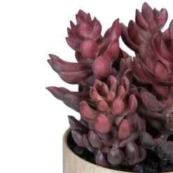 Northlight 7" Purple Artificial Succulent In Faux Wood Pot -Home Decor GUEST 515952df aee5 4b67 8527 809a764f03df
