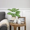 Northlight 13" Artificial Arrowroot Plant In Beige Ceramic Pot