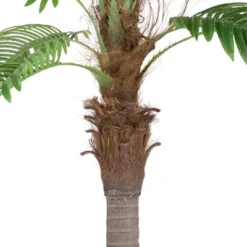 Northlight 8' Unlit Artificial Potted Phoenix Palm Tree -Home Decor GUEST 5318f86b 1249 4073 be53 e3c279e7b7cd