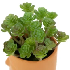 Northlight 5.5" Mini Artificial Succulent In Face Planter Pot -Home Decor GUEST 55a0520b 8ac1 4bbc 9eb9 fa86aa194d20
