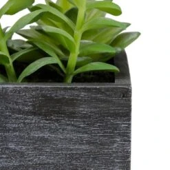 Northlight 23" Artificial Mixed Succulent Plants In A Rectangular Planter -Home Decor GUEST 56524abe c9b9 4043 a816 86adb8d65395
