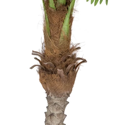 Northlight Artificial Potted Palm Trees - 6' - Set Of 2 2 Northlight Artificial Potted Palm Trees - 6' - Set Of 2 - Image 2