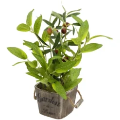 Northlight Artificial Olive Plant In Rustic Pot With Handles - 14" -Home Decor GUEST 585e83e6 c425 459c 963c a45ca1c41d2e