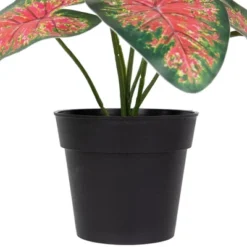 Northlight 8" Rohdea Spring Floral Artificial Potted Plant 7 Northlight 8" Rohdea Spring Floral Artificial Potted Plant -Home Decor GUEST 5c0dbf0f f885 4e2e 89f2 40f11ce07457
