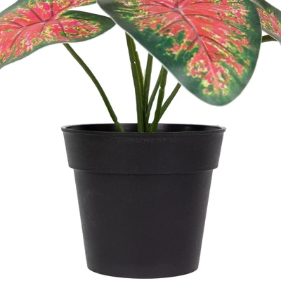 Northlight 8" Rohdea Spring Floral Artificial Potted Plant 3 Northlight 8" Rohdea Spring Floral Artificial Potted Plant - Image 3