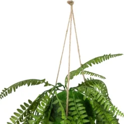 Northlight 18" Artificial Fern Plant With Moss Ball And Hanging Jute Cord -Home Decor GUEST 5d0831f1 7f72 48be 9ffc 9cee800662e5